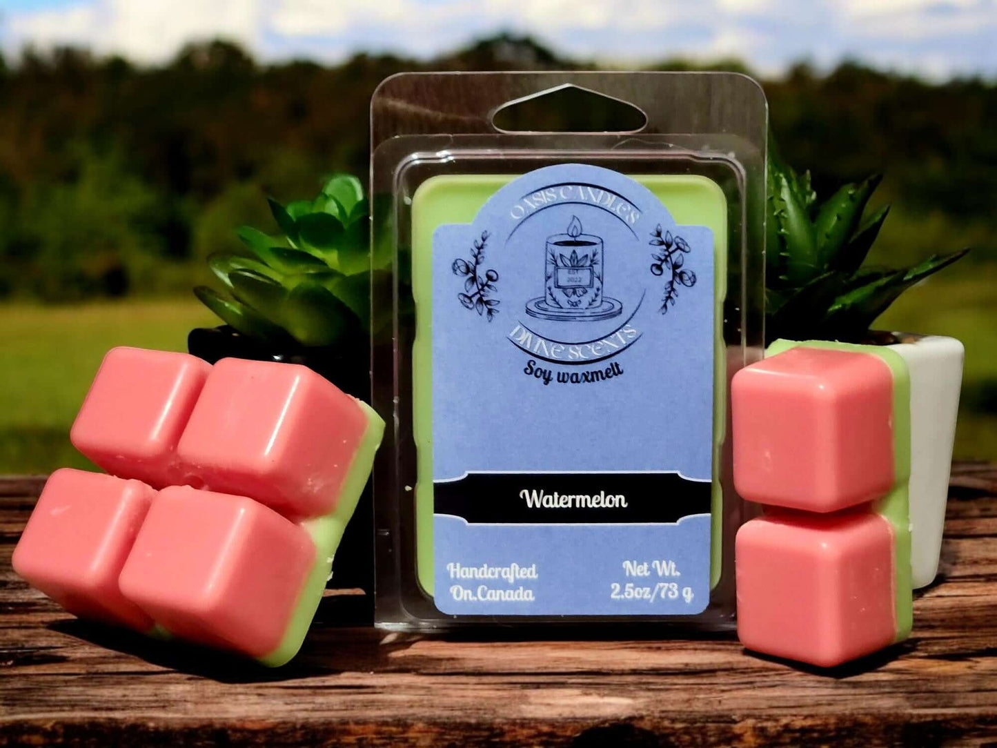 Watermelon wax melt