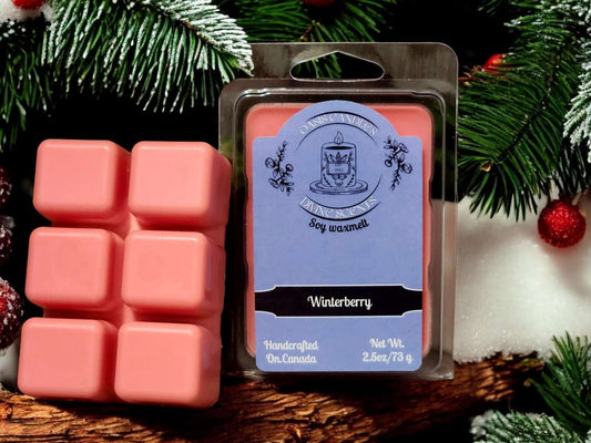 Winterberry wax melt